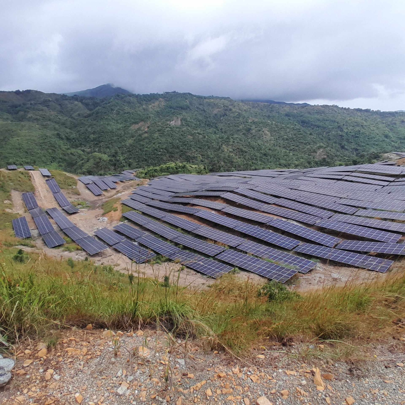 Solar Farm Panels